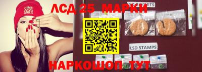 гашик Нальчик