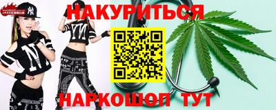 гашик Нальчик